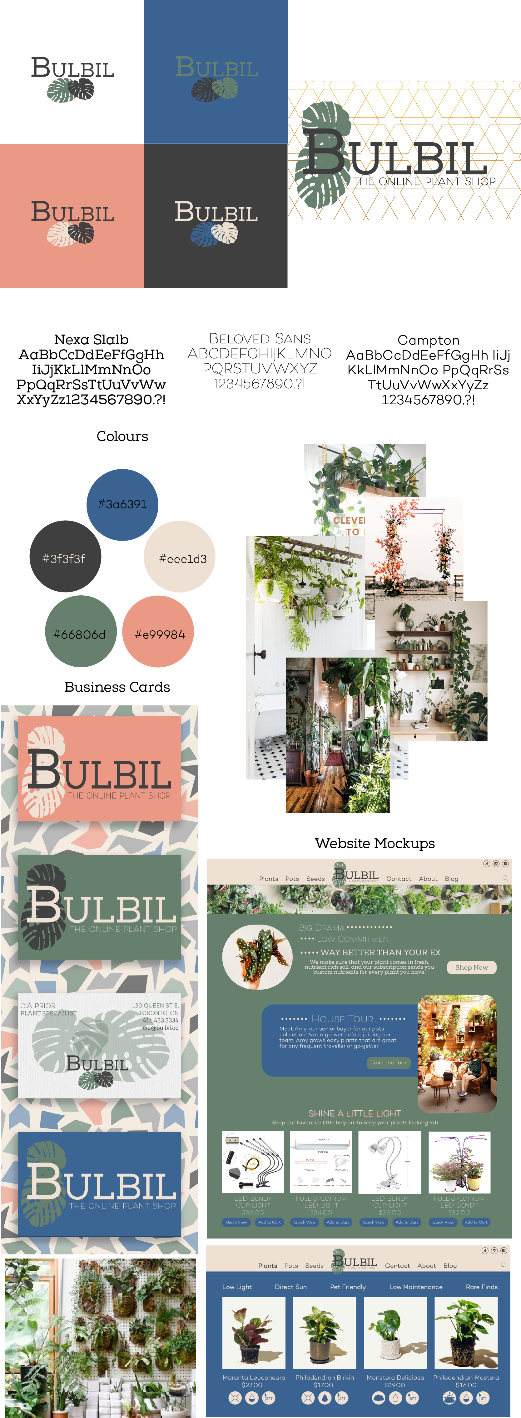 plant store branding, small business branding presentation, online plant store concept