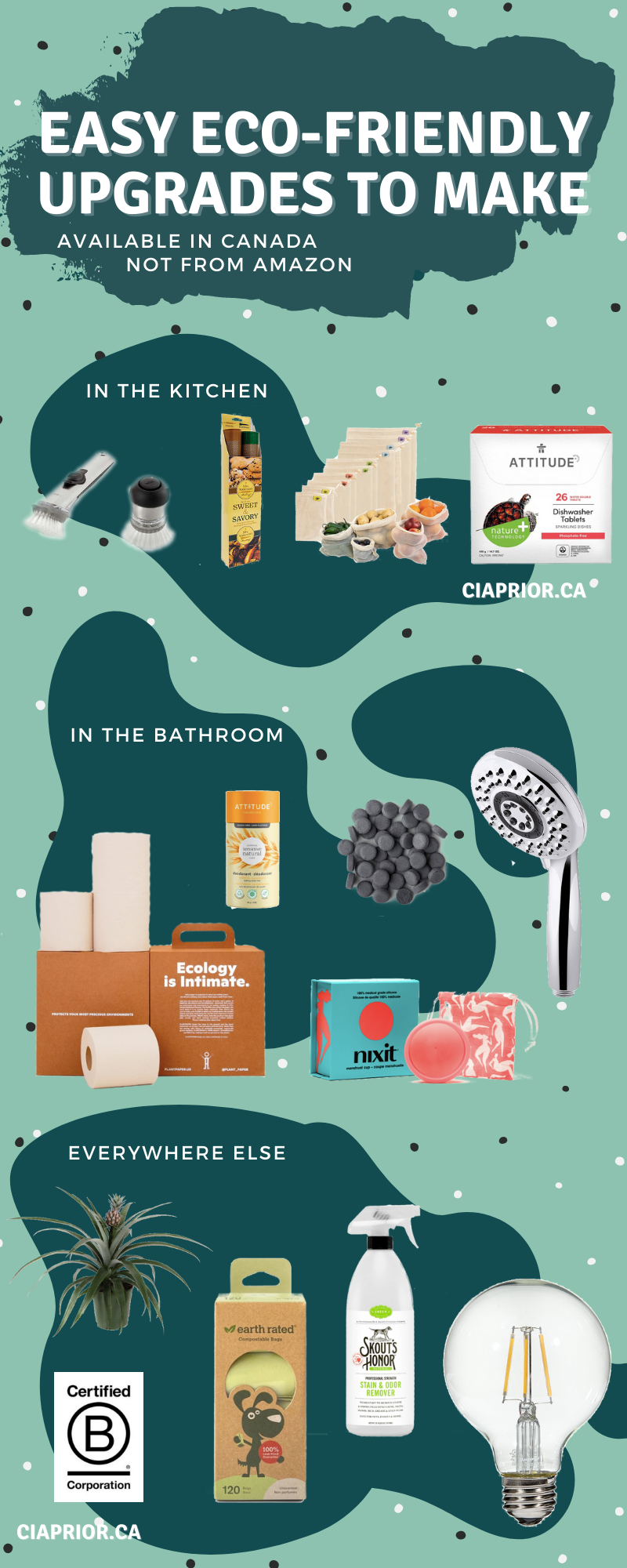 Easy Eco-friendly Changes to make in canada not on amazon infograhic from ciaprior.ca